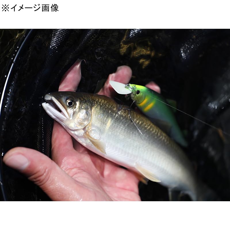 Amazon.co.jp: ダイワ(DAIWA) ルアー AYUING(アユイング)ミノー