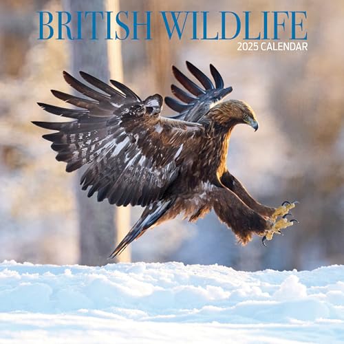 British Wildlife 2025 Calendar, Various