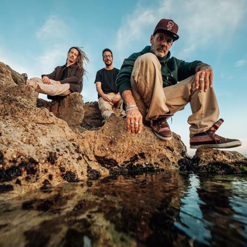 Black Vibes - El viaje - 01/02/26