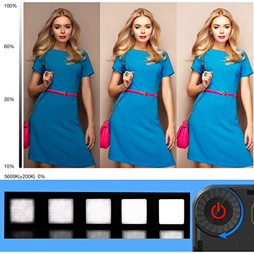 USKEYVISION Smartphone Video Vlogging Kit/Video Microphone Light Kit/YouTube Equipment, with Unique Design, for iPhone