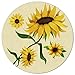 Produktbild Liz Carter 60CM Runder Bereich Teppich Frühling Gelb Sonnenblumenblüte Kunstdruck Naturn Szene Throw Teppiche Bodenteppich