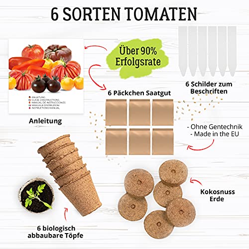 Tomaten Anzuchtset mit 6 leckeren Sorten, Anzucht Erde, Töpfen und Anleitung für die perfekte Tomatenanzucht - Image 3