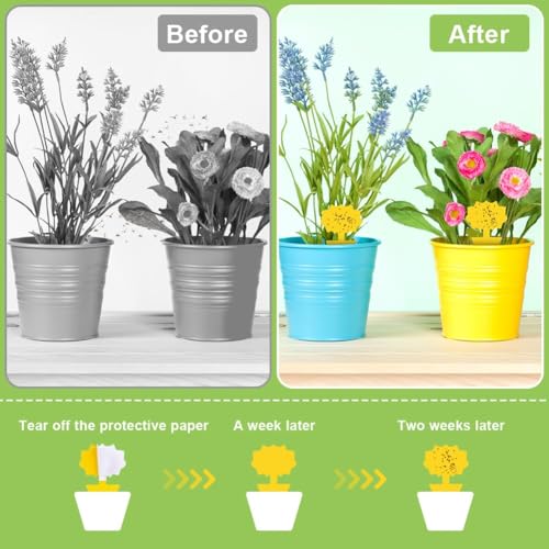 Flintronic Fruit Fly Traps,66 Pack Yellow Double-sided Fungus Gnat Sticky Catcher, Double-Sided Fly Catchers - Image 4