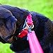 EzyDog Double Up Dog Collar – Double D-Rings for Superior Strength, Safety, and Comfort – Nylon Dog Collar with Reflective Trim and ID Attachment Point (Large, Red)