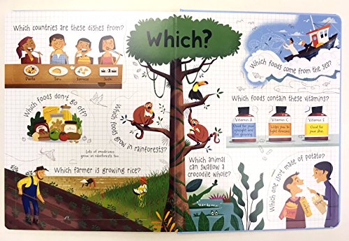 Usborne Lift-the-flap Questions and Answers Collection 5 Books Box Set by Katie Daynes