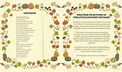 Little Country Cottage: An Autumn Treasury of Recipes, Crafts and Wisdom