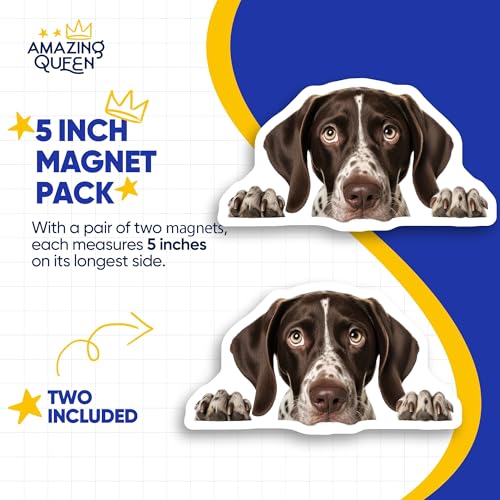 Imanes Decorativos de Perro Pointer Alemán 2 Unidades miniatura 4