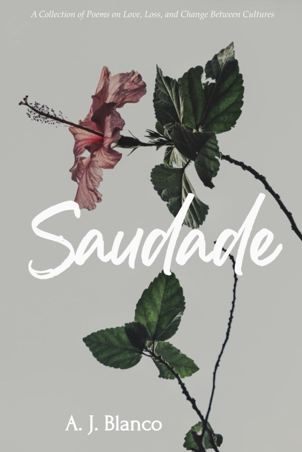 Saudade: A Collection of Poems on Love, Loss, and Change Between Cultures