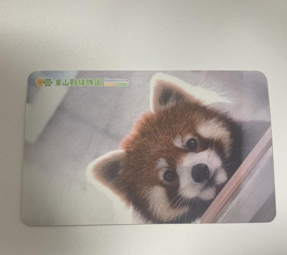 Amazon.co.jp: 東山動物園 れいか シセンレッサーパンダ 缶バッジ