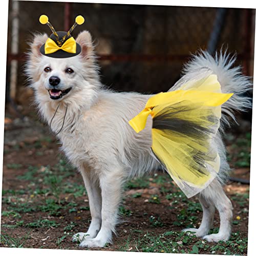 Disfraz abeja para perro con falda y gorro Halloween miniatura 7