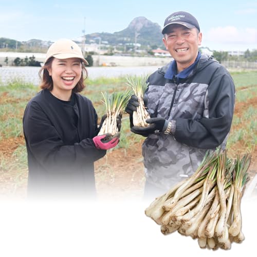 ꌧɍ]Y `lo^P̓傤1kg iytj K}[W ɍ]_Ƒg ipjVJ 