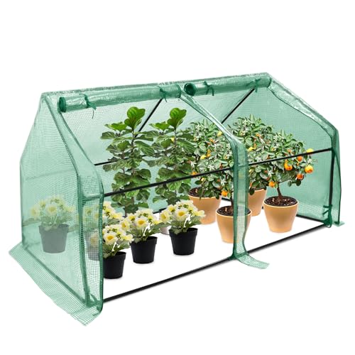 FIVMEN Serra da giardino in pellicola, 180 x 90 x 90 cm, con porta, serra, pomodori, per giardino, balcone, verde