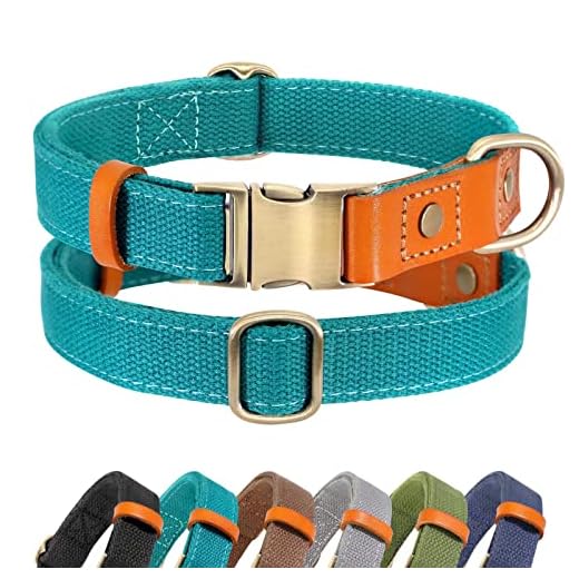 Didog Durable Dog Collars, Adjustable Pet Collars with Metal Buckle for Small Medium Large Dogs, Teal, S