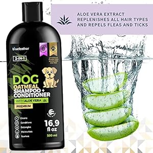 Lavender Oatmeal 2 in 1 Dog Shampoo and Conditioner for Dry Itchy Sensitive Skin – Moisturizing Hypoallergenic Shampoo – Oatmeal Wash with Aloe for Any Pet Dog Puppy or Cat 16.9 Fl Oz (Pack of 1)