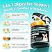 Probiotics for Dogs, Digestive Enzymes & Pumpkin Fiber for Gut Health and Bowel Support, Dog Supplement for Gas Relief & Constipation, 10B CFU with 5 Prebiotics & 5 Enzymes, 90 Count Chicken Flavor