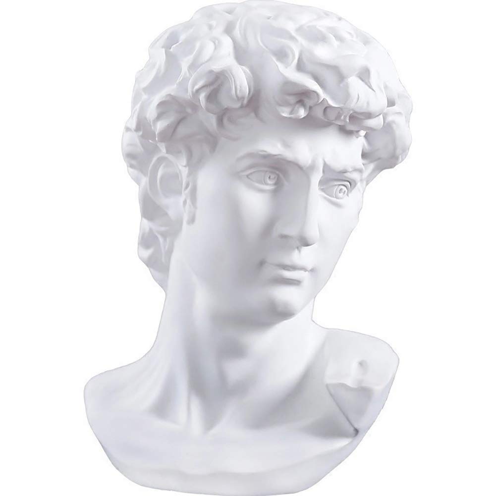 WLVG Resin Bust Statue Figurine Sculpture Portraits Gypsum Art Craft Home Decor Sketch Ornaments,Mini David Head Statue David 15cm(6inch)