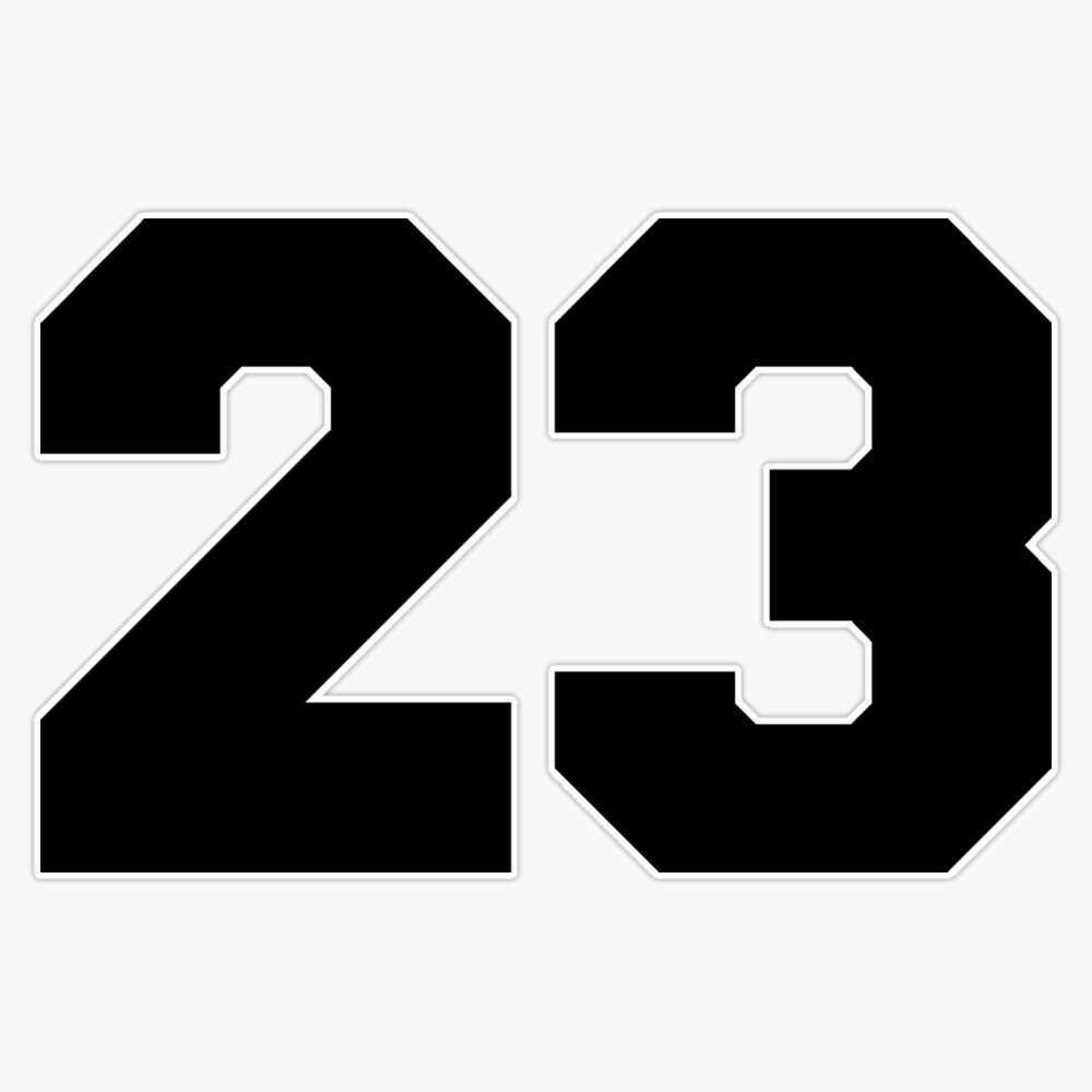 23 Vinyl Waterproof Sticker Decal Car Laptop Wall Window Bumper Sticker 5"