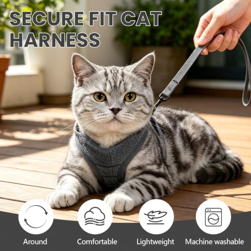 Image of HEYWEAN Cat Harness and Leash - Ultra Light Escape Proof Kitten Collar Cat Walking Jacket with Running Cushioning Soft and Comfortable Suitable for Puppies Rabbits