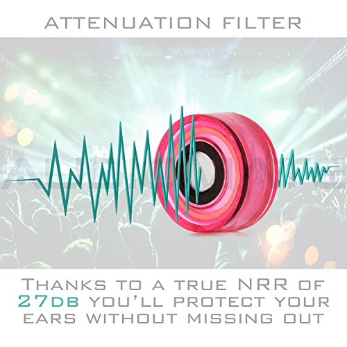 Audiomate High-Fidelity Earplugs With Metal Keychain Carry Case And 2 Interchangeable Earbuds Comfortable Soft Silicone Hifi Noise Attenuating Ear Plugs For Musicians, Concert, Sleeping & More #TOP3