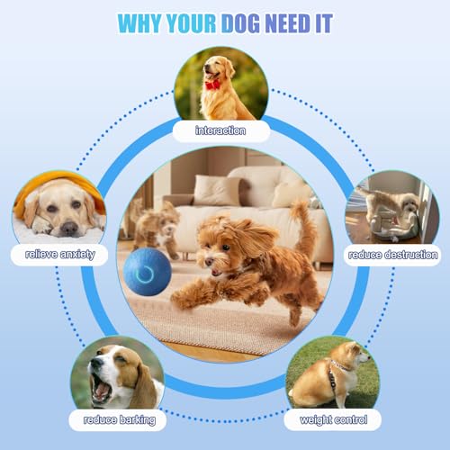 DAILINK Interaktiver Ball für Hunde, wiederaufladbar, 67 mm, Spielzeugball für Hunde, mit LED, schwimmend, langlebig, hoher Rückprall für Welpen, klein und mittelgroß