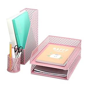 EXERZ Organisateur de Bureau 4 pièces/Fournisseurs de Bureau/Accessoires de classement – Bac à Lettres/Classeur x 2, Porte-revues x 1, Porte-Stylo x 1 (Rose Clair)