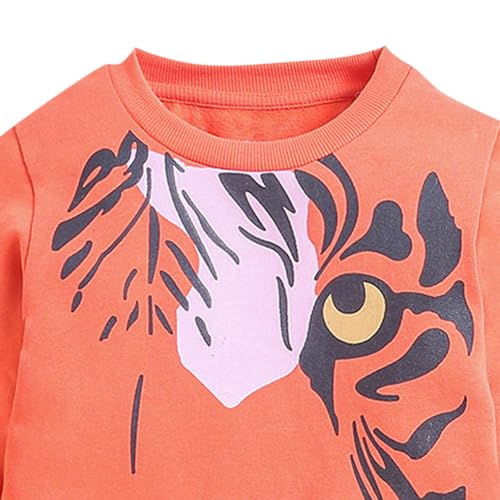 Image of Hopscotch Boys Cotton Round Neck Sweatshirts