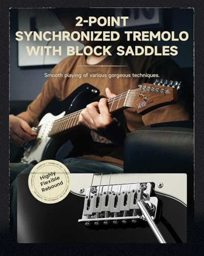 Image of Donner 39 Inch Electric Guitar, DST-550 Solid Double-cut Poplar Body Electric Guitar for Intermediate & Pro Players, 7 Tone-switching Options & Tremolo Bridge, Bonus Bag- Black