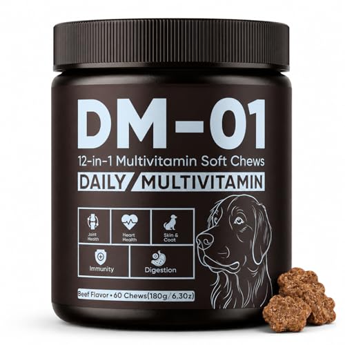 DM-01 Daily Multivitamin for Dogs Multivitamin Itch Relief Chews with Folic Acid Salmon Oil Probiotics & Vitamins Skin and Coat Healthy Gut Health & Boost Immunity Beef Flavor 60 Chew (1)
