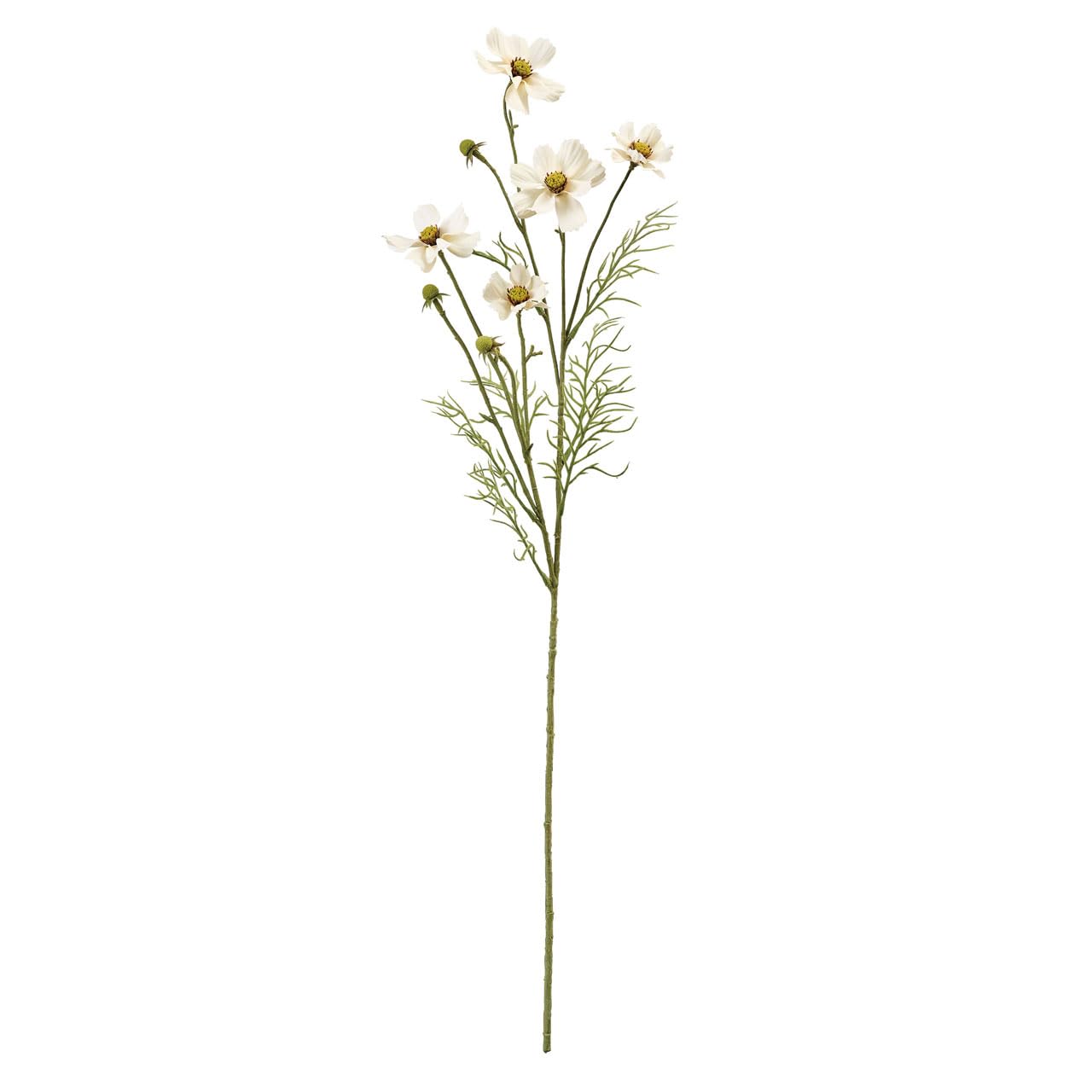 コスモスクリーム スキンクリエーター / コンセントレート クリーム AAの公式商品