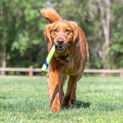Image of Chuckit! Peanut Butter Sniff Fetch Stick Dog Toy, 12in Length, 1 Pack