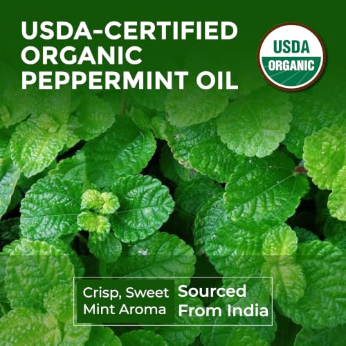 Aceite Esencial Orgánico de Menta 1 Fl Oz miniatura 4