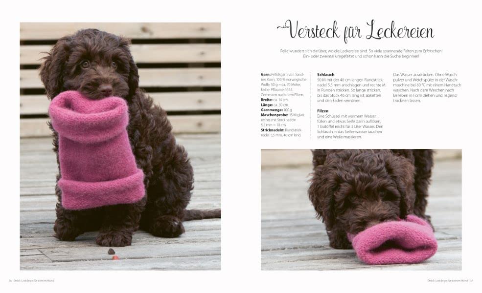 Strickbuch Hund – Strick-Lieblinge für deinen Hund: Kleidung, Accessoires und Spielzeug für fröhliche Fellnasen. Hundepullover im Scandi-Stil stricken.