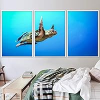 3 Piece Framed Canvas Wall Art Turtle Under The Surface Canvas Prints Home Artwork Decoration for Living Room,Bedroom - 16