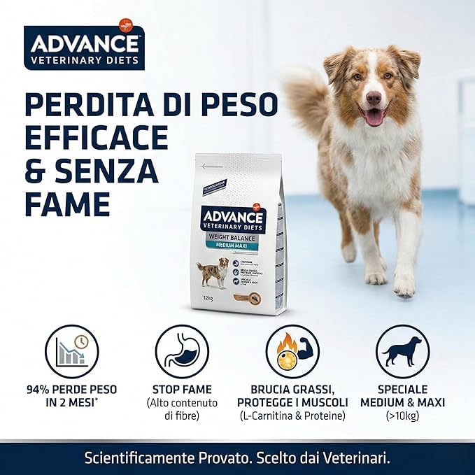 Advance Veterinary Diets Weight Balance Medium Maxi Crocchette Cane 3 kg - Cibo Secco Dietetico per Perdita Peso, Mangime Light Saziante Gusto Pollo, Mantiene Massa Muscolare, Adult