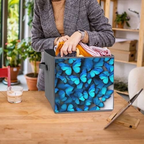 Boîtes de rangement pliables bleu papillon pour étagères et placard - 8