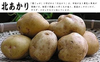 Amazon.co.jp: じゃがいも 北海道ふらの産 北あかり 訳あり
