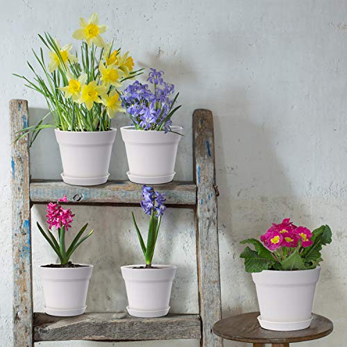 homenote-Pots-for-Plants-15-Pack-6-inch-Plastic-Planters-with-Multiple-Drainage-Holes-and-Tray-Plant-Pots-for-All-Home-Garden-Flowers-Succulents-White homenote-Pots-for-Plants-15-Pack-6-inch-Plastic-Planters-with-Multiple-Drainage-Holes-and-Tray-Plant-Pots-for-All-Home-Garden-Flowers-Succulents-White