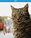 Kedi [Blu-ray]