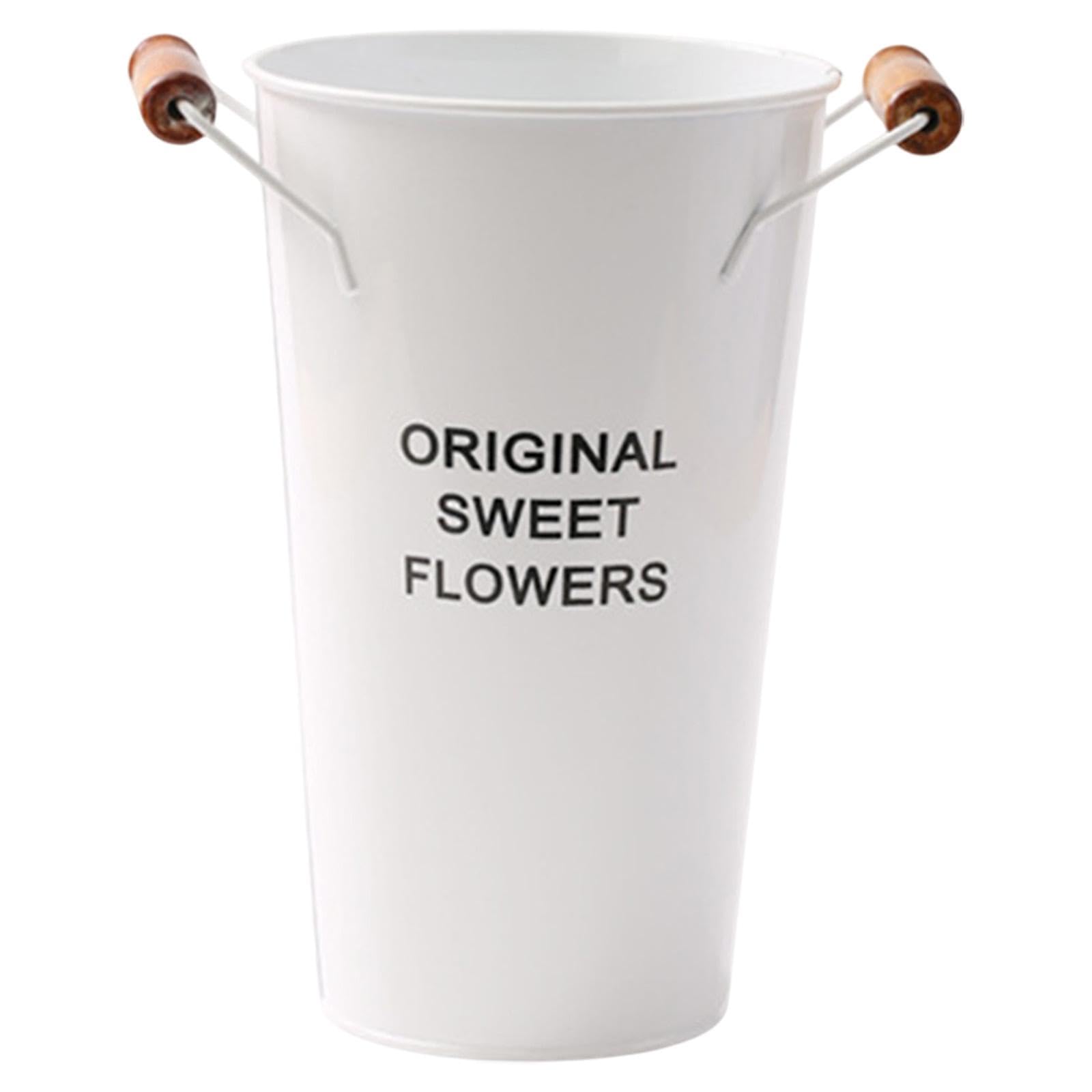 Ice Storage Sturdy Kitchen Utensil Versatile Flowerpot for Living Room Decor White|1x Metal Bucket Planter-image-43