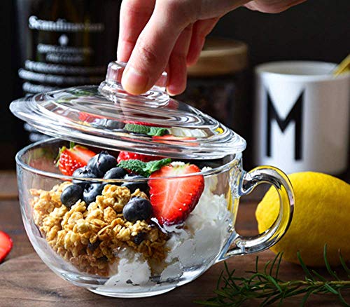 Foyofly QIBI-1212 Clear Soup Bowls With Handle And Glass Lid 550Ml 18 Oz thumb #2