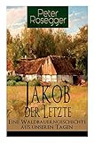  Jakob der Letzte - Eine Waldbauerngeschichte aus unseren Tagen: Heimatroman - Das Schicksal der steirischen Bergbauern zur Zeit der Industrialisierung