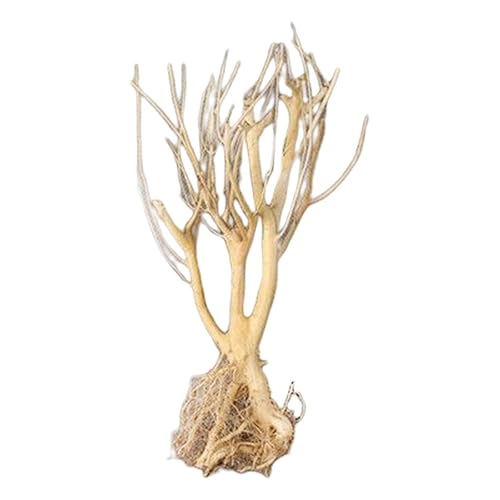 Geardeangloow Acuario ecológico acuático con raíz de madera flotante, tronco, rama de árbol