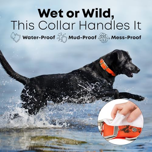 Regal Dog Products WATERPROOF Medium Orange Dog Collar With Heavy Duty Double Buckle & D Ring | Vinyl Coated, Custom Fit, Adjustable Biothane Dog Collar Chew Resistant Waterproof Center-Ring Collar thumb #2