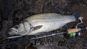 送料込みに変更　オールウェイク105マルチ Amazon | ジャンプライズ(Jumprize) オールウェイク 105 マルチ プラス