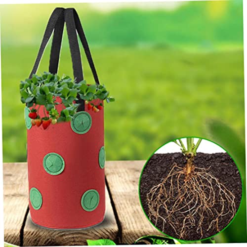 Bolsas de 3 galones de fresa perfectas para crear tu propio huerto urbano en el balcón 3