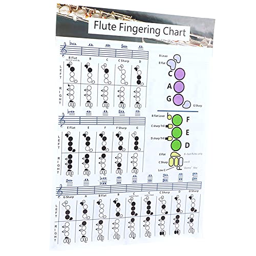 Cryfokt Tabla de Acordes de Digitación de Flauta, Fácil de Entender y Tabla de Digitación de Flauta Estándar Suave para Enseñar Práctica de Instrumentos para Estudiantes de (Tabla de digitación de