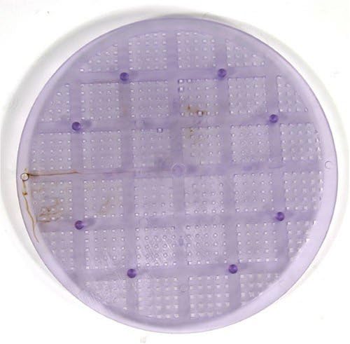 Inland Seas Nu-Clear Canister Filter Replacement Full Flow Grid