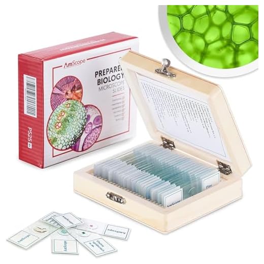 AmScope PS25W Prepared Microscope Slide Set for Basic Biological Science Education, 25 Slides, Includes Fitted Wooden Case