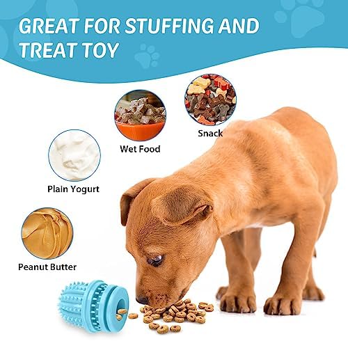 Cactus Shape Dog Chew Toys for Teething - Blue