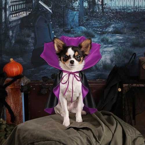 Disfraz para perro capa vampiro pequeño púrpura talle S miniatura 5